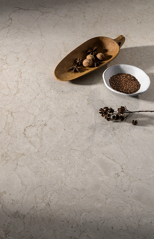 Caesarstone 545 Fossillia Porcelain surface