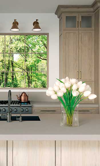 Caesarstone 1002 Wyndigo Kitchen