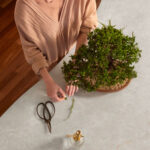 אישה עומדת ומטפחת עץ בונסאי שיושב על משטח פורצלן של אבן קיסר